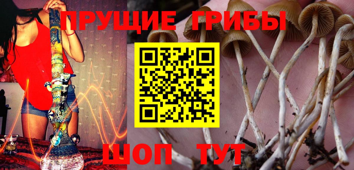 Медногорск  Псилоцибиновые грибы мухоморы  Вход с VPN 