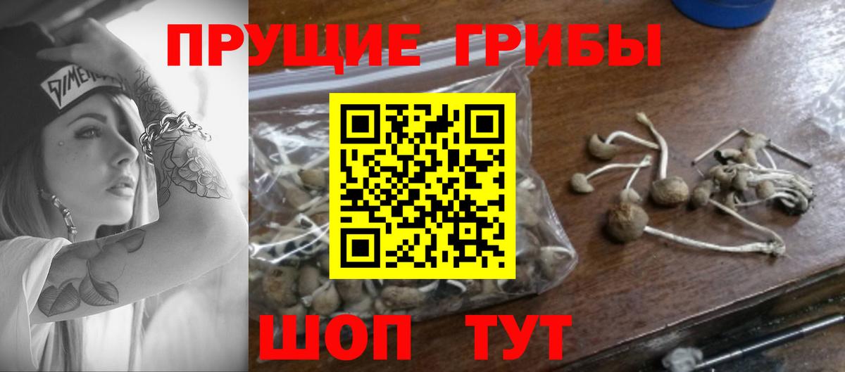 Псилоцибиновые грибы MAGIC MUSHROOMS Медногорск